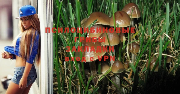 PSILOCYBIN Богданович